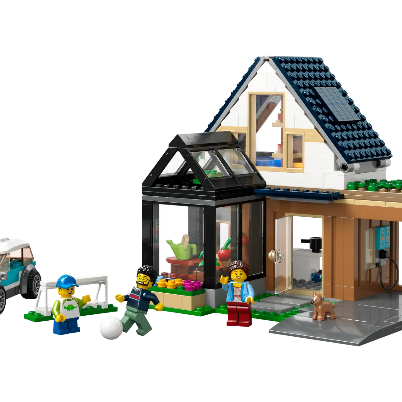 Family House and Electric Car