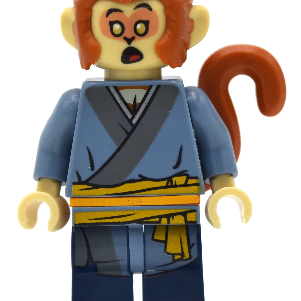 Apprentice Monkey King