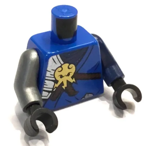 Torso, Odd Arms, Robe, Gold Emblem, Reddish Brown Scabbards Print, Left Dark Blue Arm, Right Flat Silver Arm, Black Hands