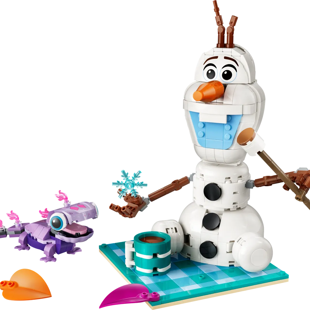 Olaf and Bruni’s Picnic Fun