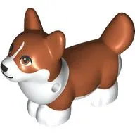 Animal, Dog, Corgi with Partially Dark Orange Fur Print