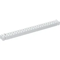 Brick Special 2 x 24 with 2 End Pegs