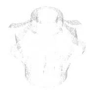 Weapon Mace with Spikes