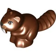 Animal, Beaver, Sitting with White Teeth, Nougat Nose, Eyes print