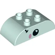 Duplo Brick 2 x 4 Curved Top with Fish Face Print