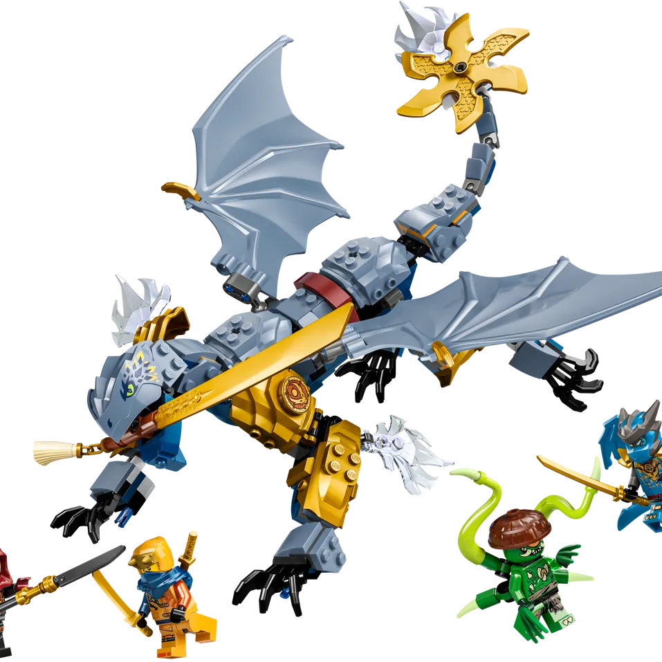 Ninja Dragon Riyu's Battle