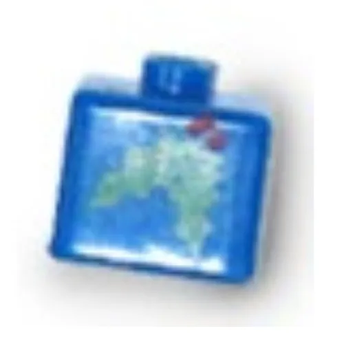 Pen Bead, Square with Holly Print