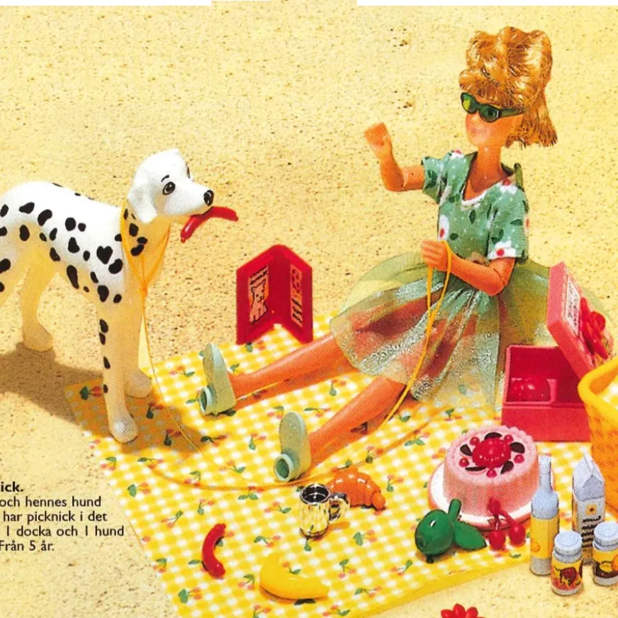 Julie's (Andrea's) Picnic Lunch