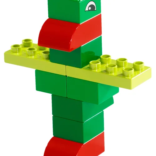 Green Parrot (Explore)