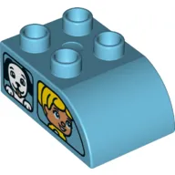 Duplo Brick 2 x 3 with Curved Top - Dual Side Print Windows / Side A Duplo Girl and Dog / Side B Boy and Cat