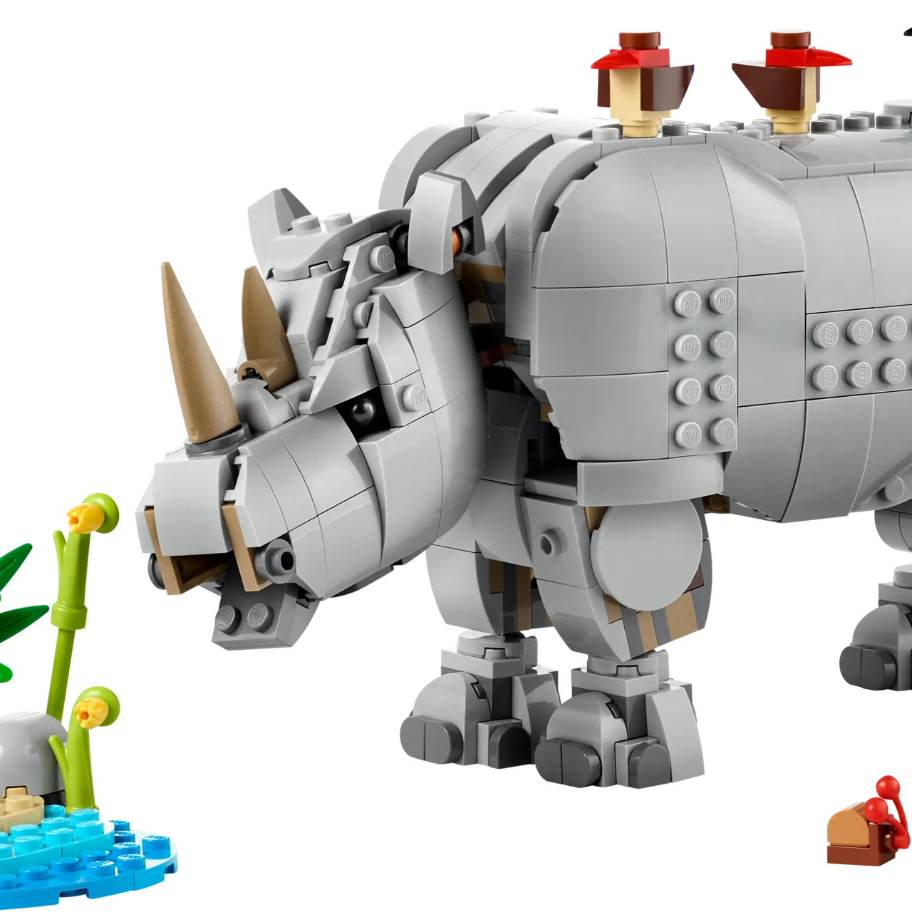 Wild Animals: Majestic Rhino with Birds