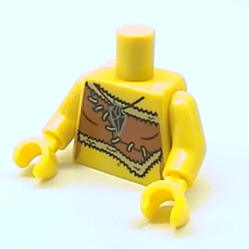 Torso Animal Fur, Dark Orange, Black and Silver Amulet Print, Yellow Arms and Hands