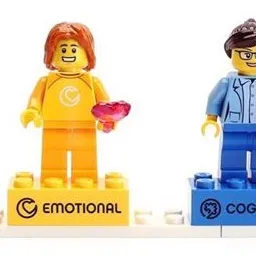 The Playful 5 Minifigure Set
