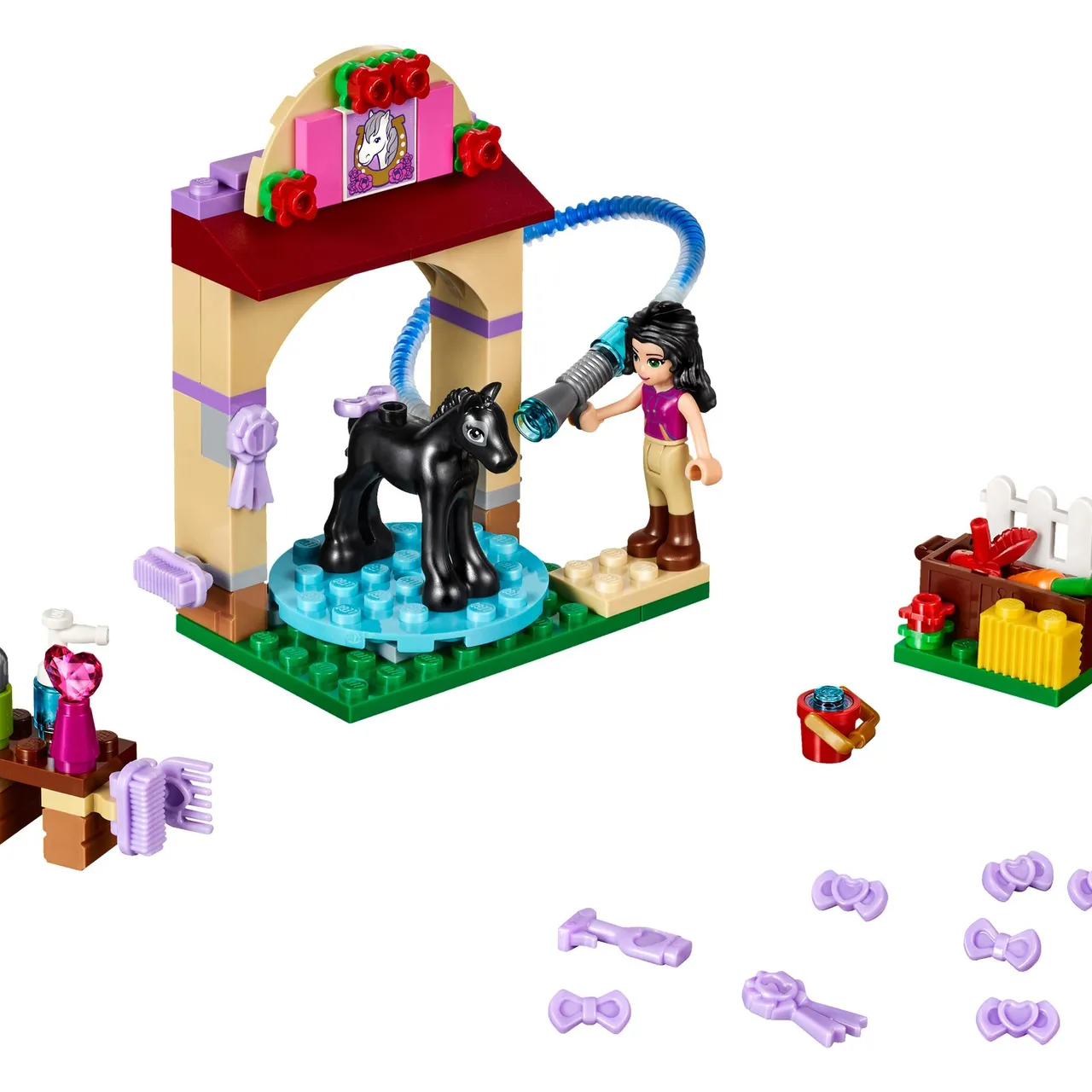 Foal's Washing Station