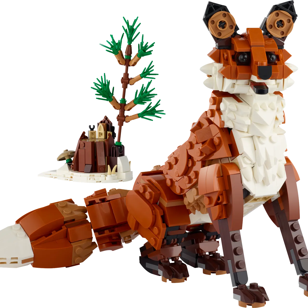 Forest Animals: Red Fox