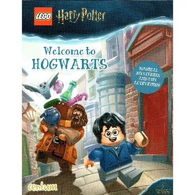 Book, Harry Potter: Welcome to Hogwarts