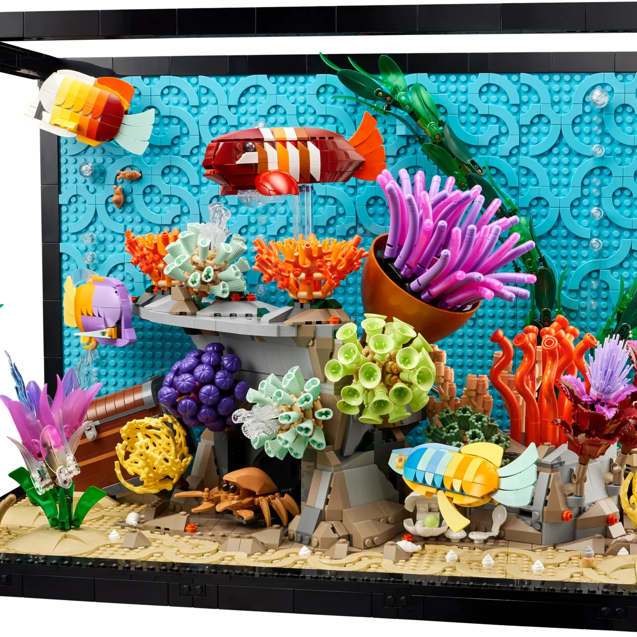 Tropical Aquarium