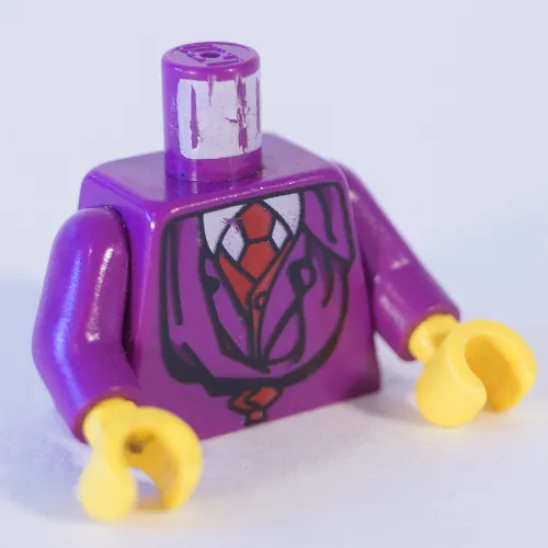 Torso Robe, Red Vest and Tie, and White Shirt with Collar Print (Quirrell), Purple Arms, Yellow Hands