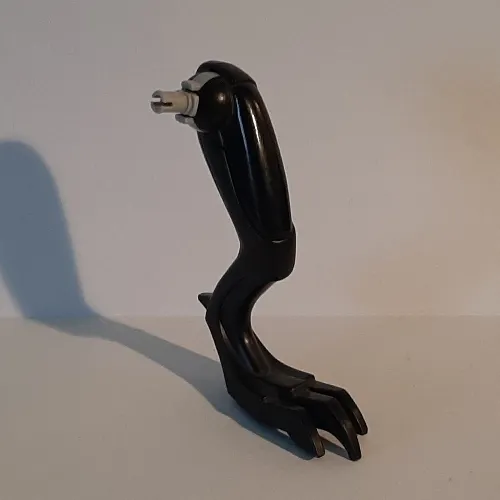 Animal Body Part, Dinosaur, Raptor Leg, Left