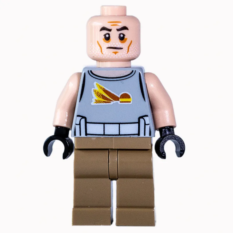 Clone Commander Gregor, Old