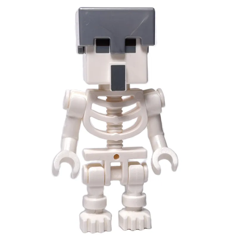 Skeleton, Flat Silver Helmet, Villager Head