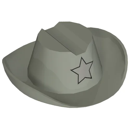 Hat Cowboy with Silver Star Print