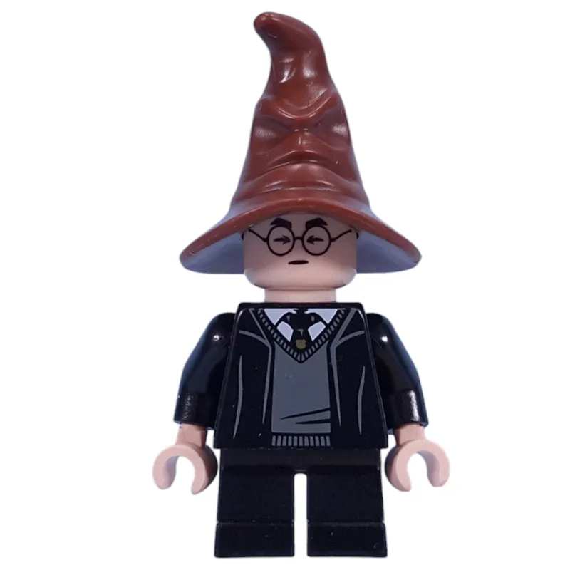 Harry Potter, Sorting Hat