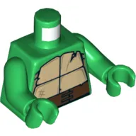 Torso Turtle Shell with Crack and Dark Brown Horizontal Belt Print, Green Arms and Hands