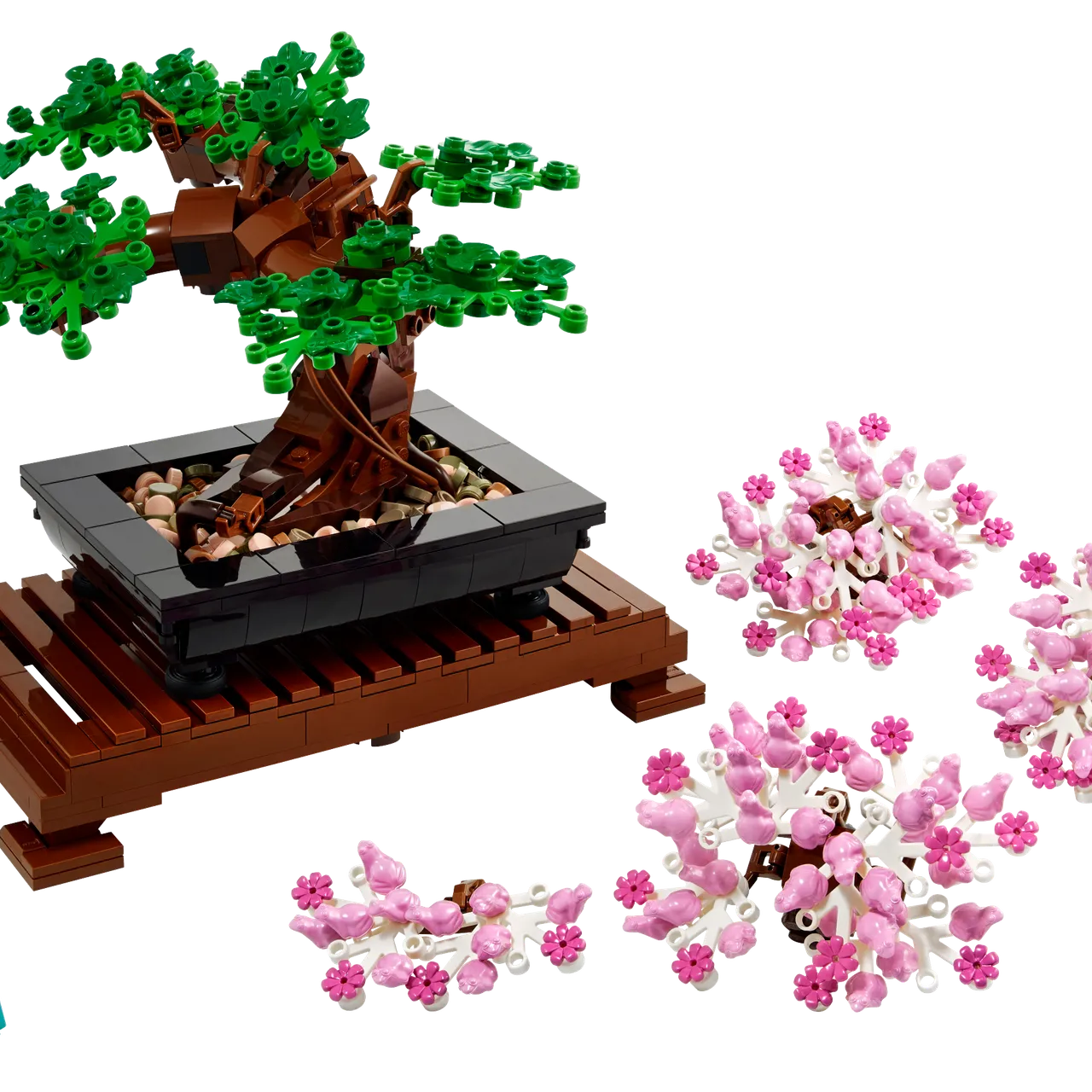 Bonsai Tree