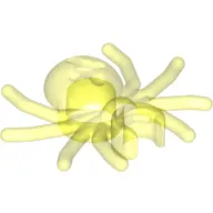 Insect, Spider