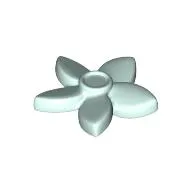 Plant, Flower with 5 Pointed Petals and Pin