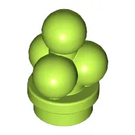 Lime