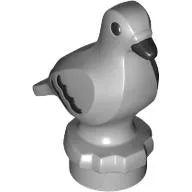 Animal, Bird, Pigeon with Black Eyes, Beak, Feathers pattern