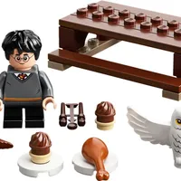 Harry Potter and Hedwig: Owl Delivery