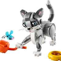 Playful Cat