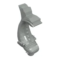 Animal, Fish, Ornamental