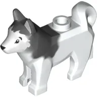 Animal, Dog, Husky with Black Eyes, Black Nose Print and Marbled Dark Bluish Gray Ears and Back Pattern