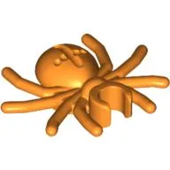Insect, Spider