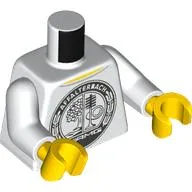 Torso, Black Logo, 'AFFALTERBACH', 'AMG' print, White Arms, Yellow Hands