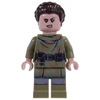 Princess Leia, Endor Outfit, Hair