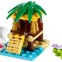 Turtle's Little Oasis