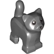 Animal, Cat, Kitten, Short Tail, Black Eyes and Nose Print