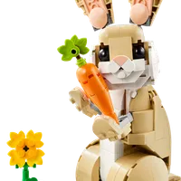 Cute Bunny
