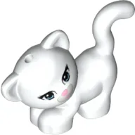 Animal, Cat, Standing, Looking Left with Light Blue Eyes, Dark Pink Nose and Mouth Print