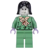 Professor Snape Boggart, Black Hair