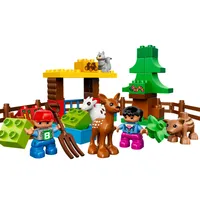Forest: Animals