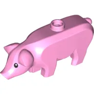 Animal, Pig, Large with Black Eyes and White Pupils Print
