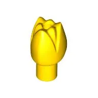 Plant, Flower, Tulip