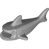 Animal Body Part, Shark Body with Three Gill Slits
