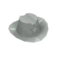 Hat Cowboy with Silver Star Print